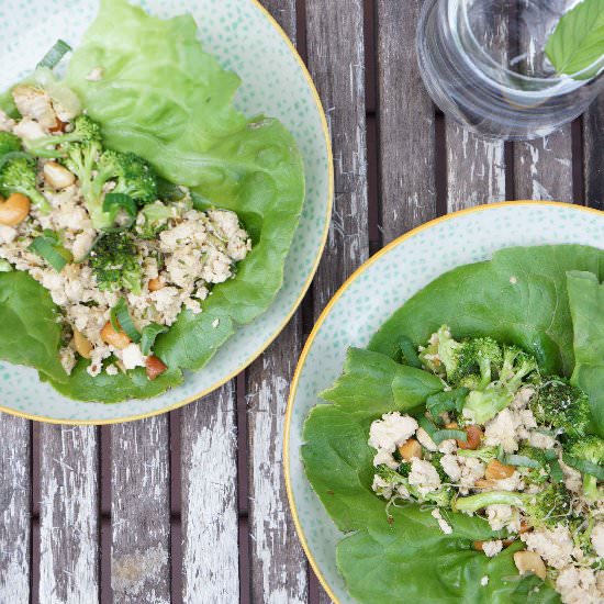 Vegetarian Lettuce Wraps