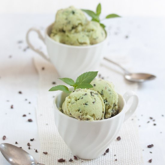 Mint Chocolate Chip Ice Cream