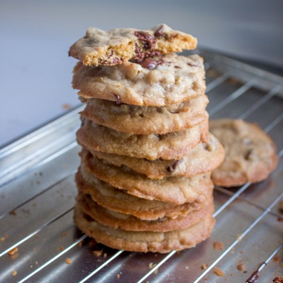 Cookie Butter Chocolate Chip