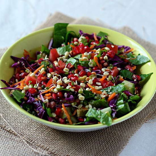 Rainbow Salad