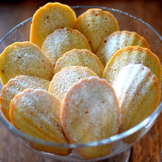 Classic Vanilla Madeleines