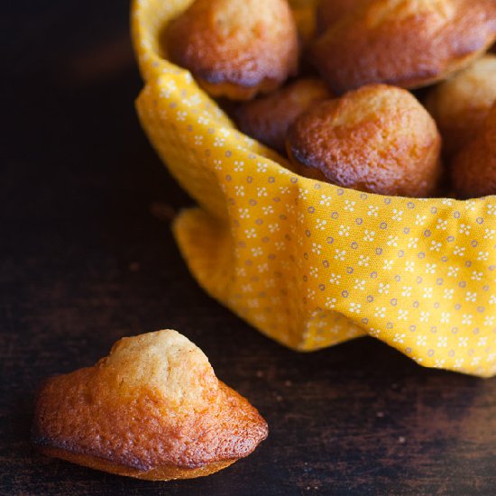 Honey Madeleine Cake