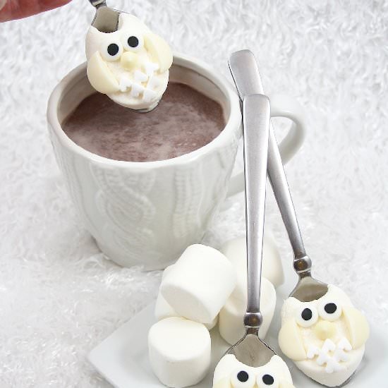 Hoot Cocoa Spoons