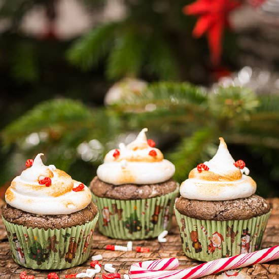 Chocolate Cupcakes