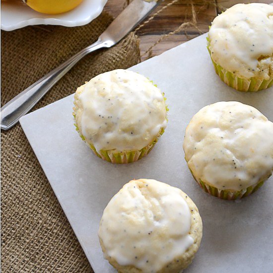 Meyer Lemon Poppy Seed Muffins