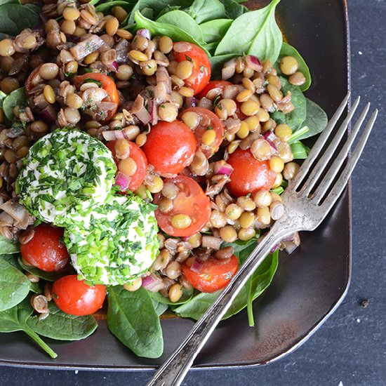 Lentil Salad