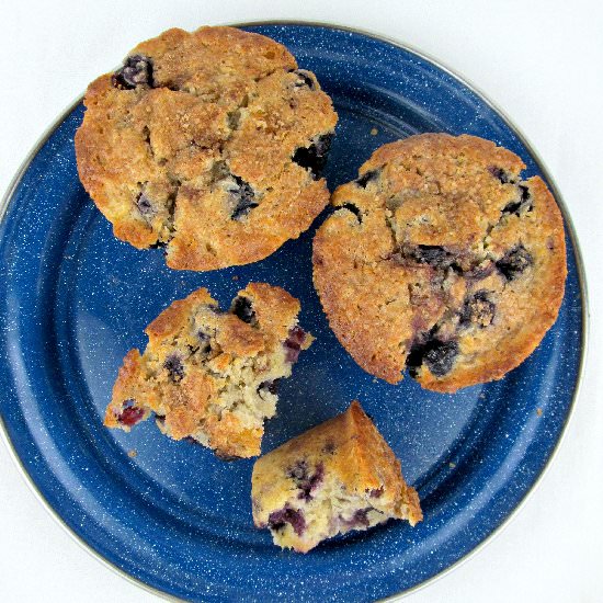 Blueberry Muffins