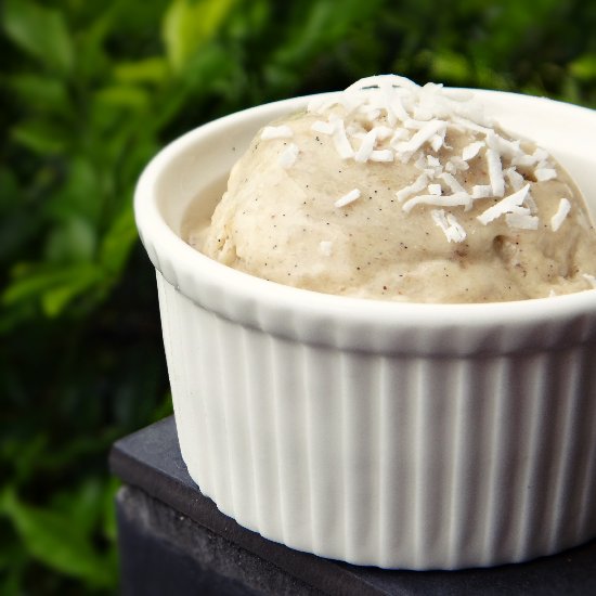 Vegan Vanilla Bean Ice Cream