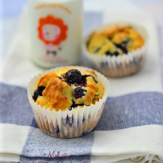 The Best Blueberry Muffins