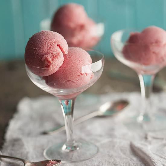 Cranberry and orange sorbet