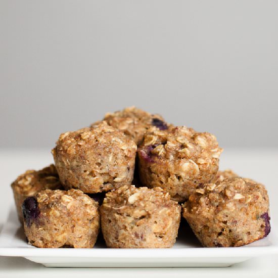 Blueberry Oatmeal Mini Muffins