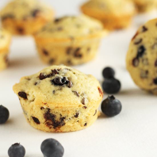 Blueberry Chocolate Chip Muffins