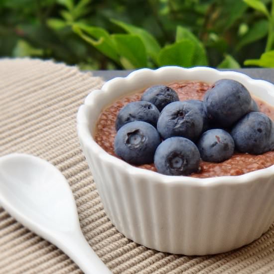 Vegan Chocolate Chia Pudding