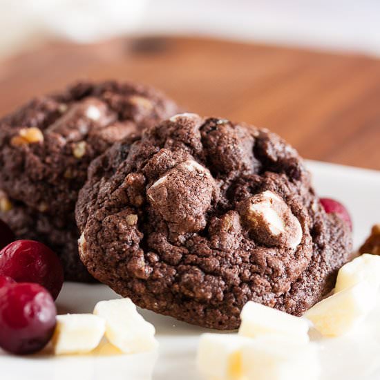 chocolate cranberry spice cookies