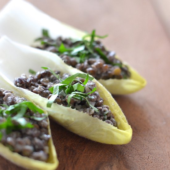 Cumin Lentil Dip in Endive Leaves