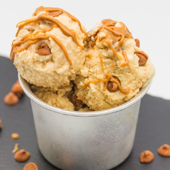 Speculoos Cinnamon Chip Ice Cream