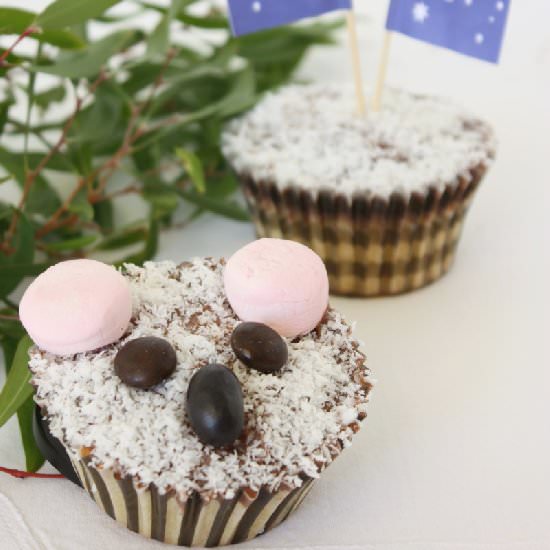 Koala Cupcakes