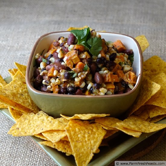 Harvest Sweet Potato Salsa