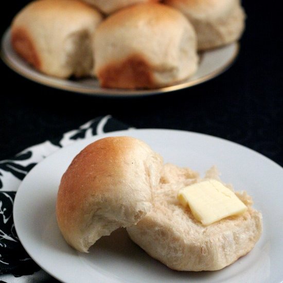 Honey Dinner Rolls