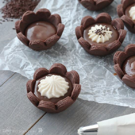 Chocolate Caramel Cheesecake Tarts