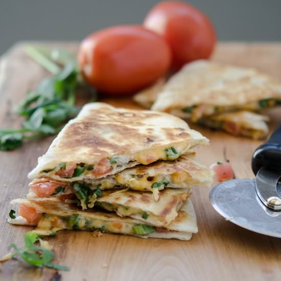 Tomato and Cheese Quesadilla