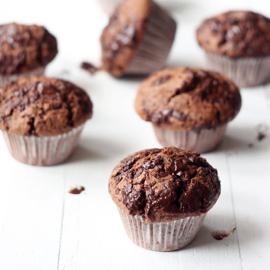 Double Chocolate Muffins