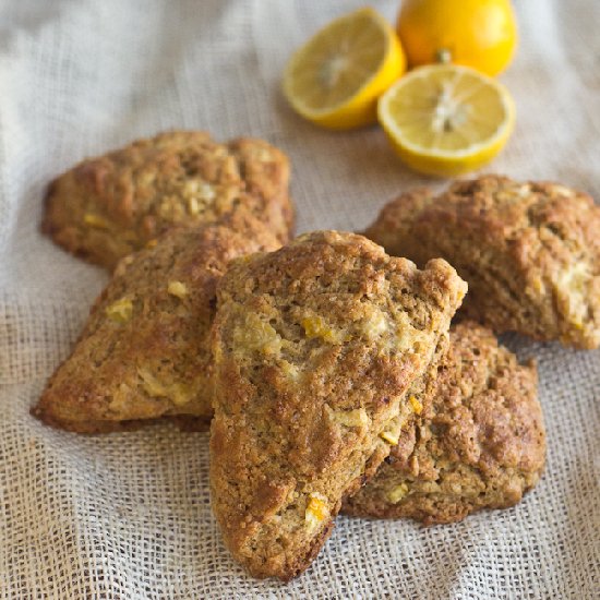 Whole Grain Whole Lemon Scones