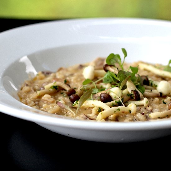 The Most Delicious Mushroom Risotto