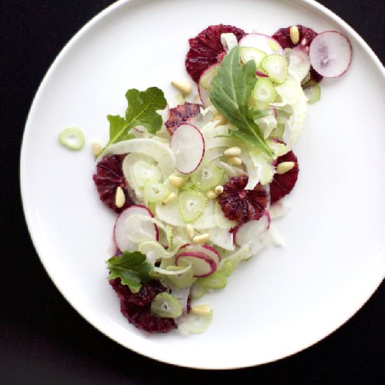 Fennel Salad with Blood Oranges