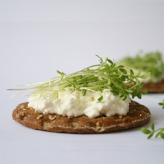 Toasts with Cottage Cheese