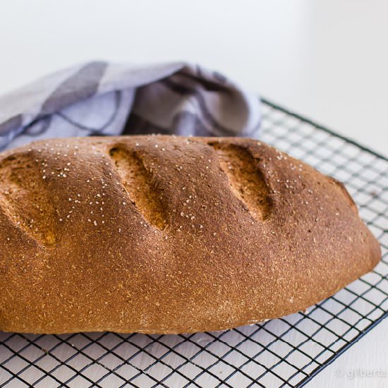 Whole wheat and rye bread