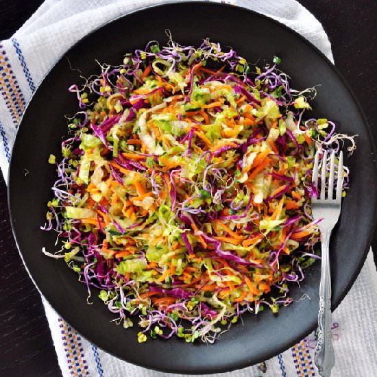 Healthy Vegetable Slaw