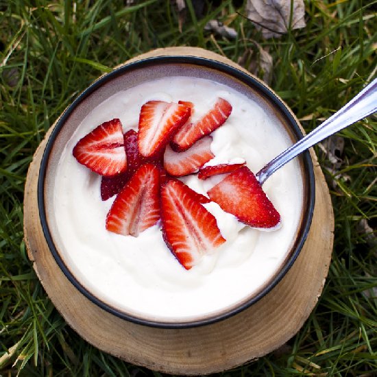 Unsweetened Homemade Vegan Yogurt