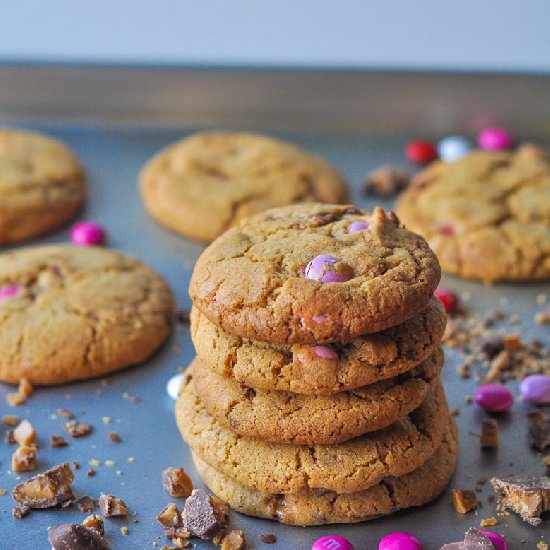 HeathBar M&M SnickerDoodles