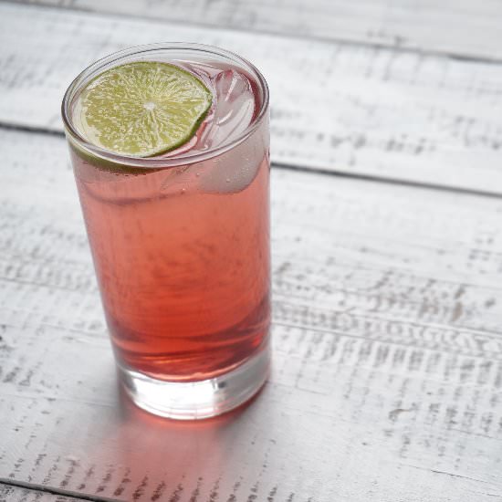 Pomegranate-Lime Gin and Tonic