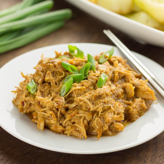 Slow Cooker Teriyaki Chicken