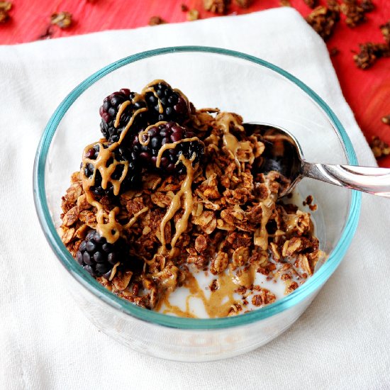 Chocolate Peanut Butter Granola