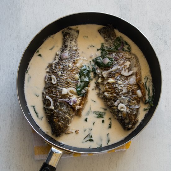 Fried Tilapia with Coconut Milk