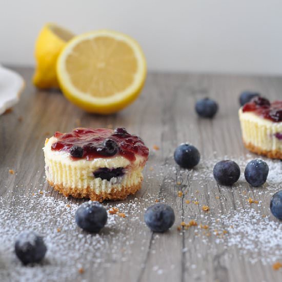 Mini Blueberry Lemon Cheesecakes