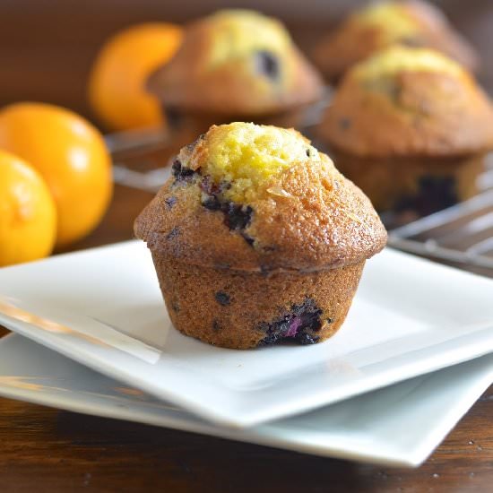 Meyer Lemon Blackberry Muffins