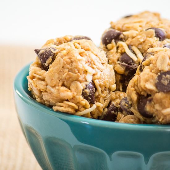 Chocolate Chip Oatmeal Bites