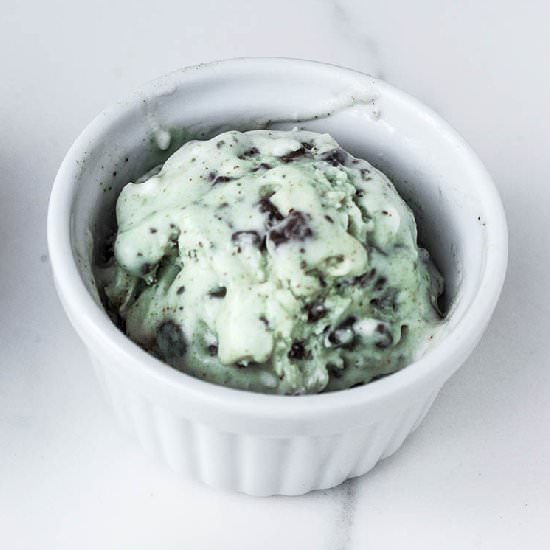 Mint Chocolate Chip Ice Cream