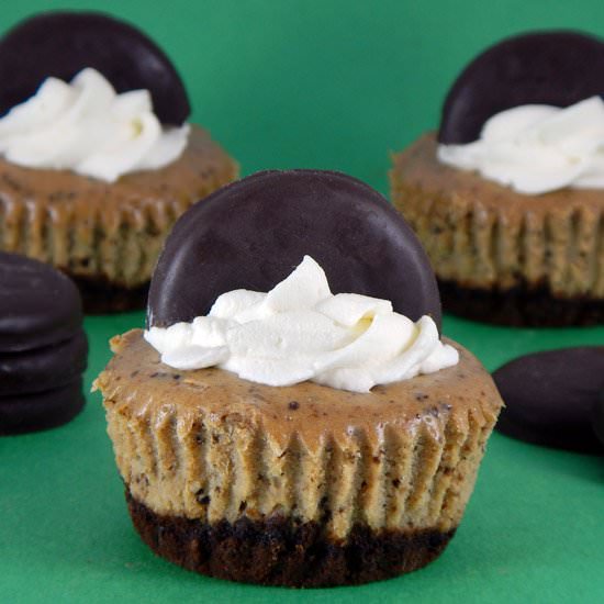 Thin Mint Cookie Cheesecakes