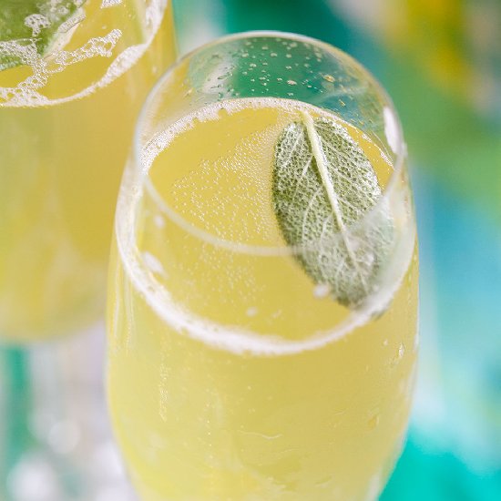 Pineapple Sage Champagne