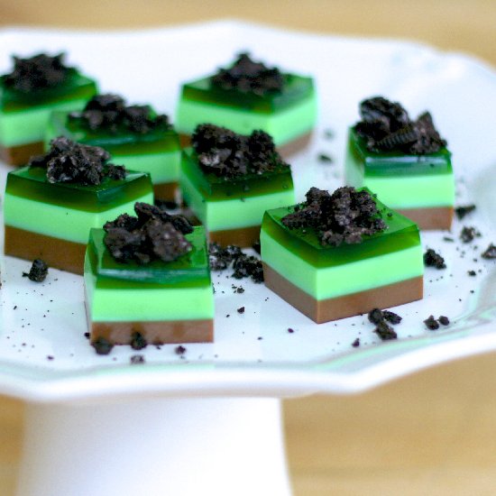 Thin Mint Jelly Shots