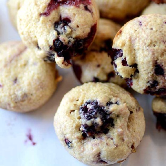 Blackberry Breakfast Bites