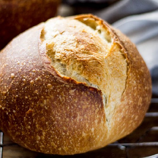 Sourdough Bread