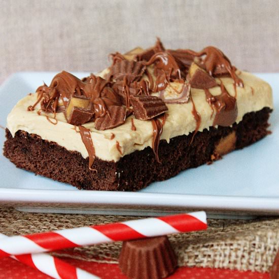 Peanut Butter Mousse Brownies