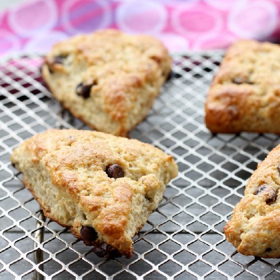 Chocolate Chip Ricotta Scones