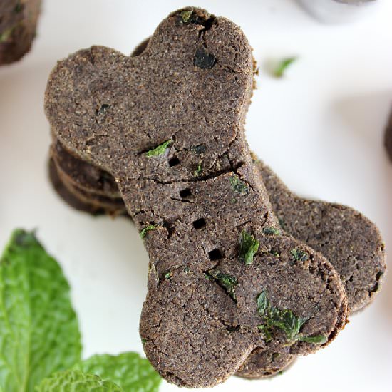 Homemade Mint Buckwheat Dog Treats